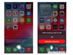 当你对Siri说“14”时会发生什么？