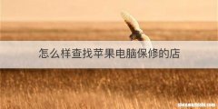怎么样查找苹果电脑保修的店