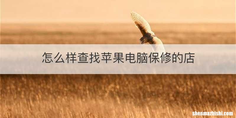 怎么样查找苹果电脑保修的店