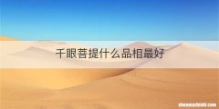 千眼菩提什么品相最好
