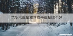 花梨木车垫和菩提子车垫哪个好