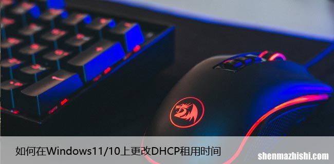 如何在Windows11/10上更改DHCP租用时间
