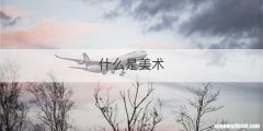 什么是美术