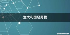 意大利国足男模