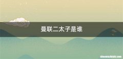 曼联二太子是谁