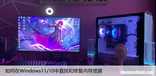 如何在Windows11/10中查找和修复内存泄漏