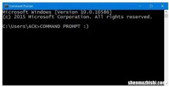 如何在Windows11/10中打开或启动命令提示符