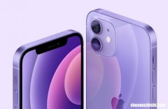 iPhone不断打开和关闭时的5种修复方法