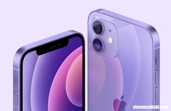 iPhone不断打开和关闭时的5种修复方法
