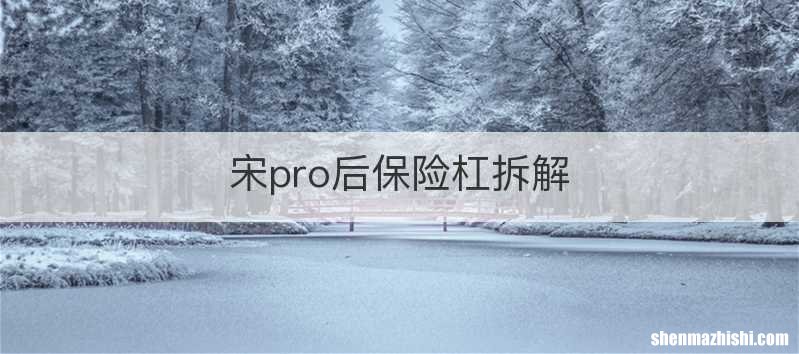 宋pro后保险杠拆解