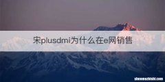 宋plusdmi为什么在e网销售
