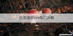 比亚迪宋pro车门拆解
