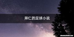 拜仁的足球小说