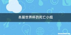 本届世界杯的死亡小组