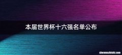 本届世界杯十六强名单公布