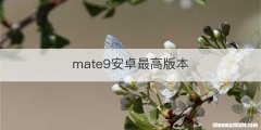 mate9安卓最高版本