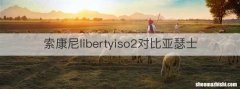 索康尼libertyiso2对比亚瑟士