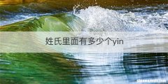 姓氏里面有多少个yin