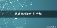 初学者 足球起球技巧