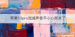 苹果13pro加减声音不小心就关了