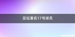 足坛著名17号球员