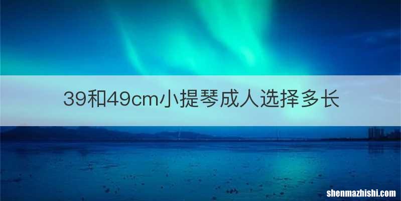 39和49cm小提琴成人选择多长