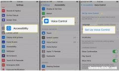如何在iPhone和iPod Touch上使用语音控制