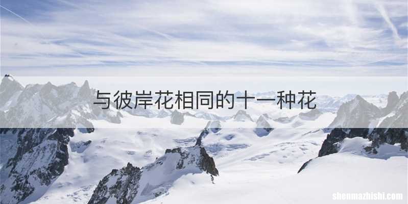 与彼岸花相同的十一种花