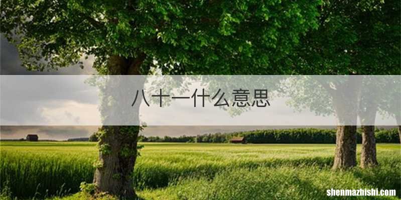 八十一什么意思