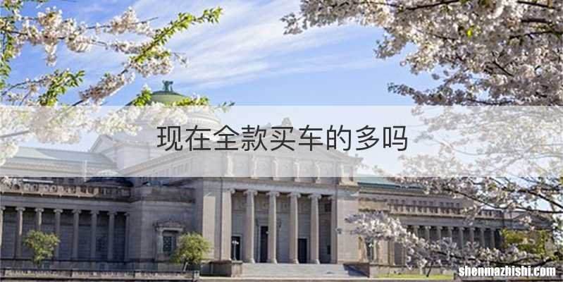 现在全款买车的多吗