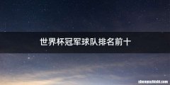 世界杯冠军球队排名前十