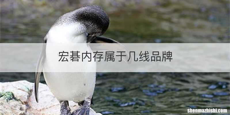 宏碁内存属于几线品牌