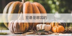 宏碁是哪国的