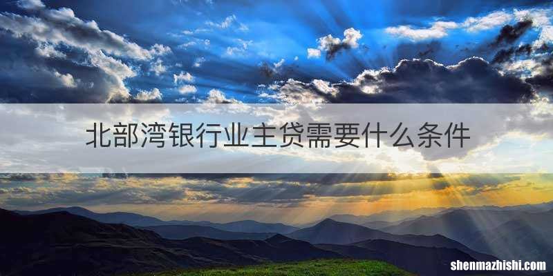 北部湾银行业主贷需要什么条件