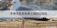 苹果手机有免费上网的功能吗