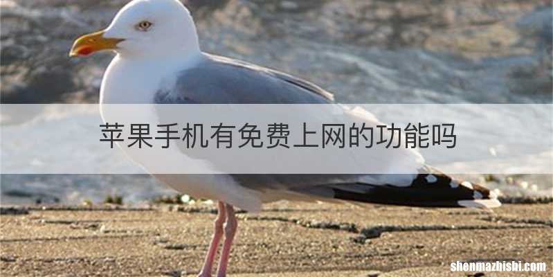苹果手机有免费上网的功能吗