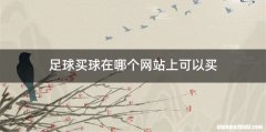足球买球在哪个网站上可以买