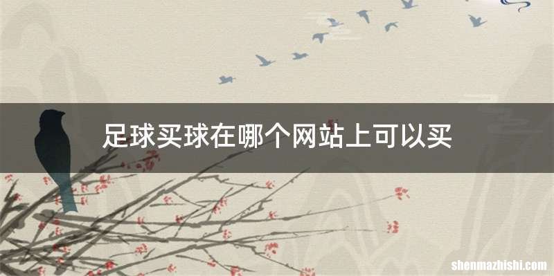 足球买球在哪个网站上可以买