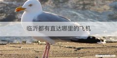 临沂都有直达哪里的飞机