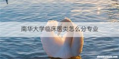南华大学临床医类怎么分专业