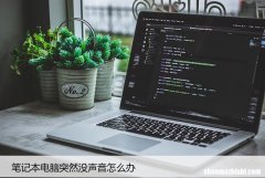 笔记本电脑突然没声音怎么办，检查并解决无声问题