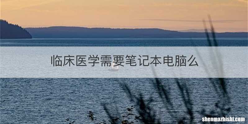 临床医学需要笔记本电脑么