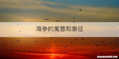 海参的寓意和象征
