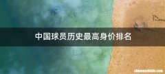 中国球员历史最高身价排名