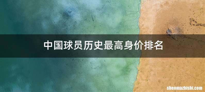 中国球员历史最高身价排名