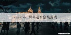 realmegt屏幕进水会烧屏吗