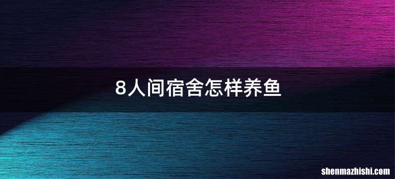 8人间宿舍怎样养鱼