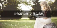 同分28人录1人什么意思