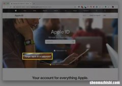 如何解决：我忘记了iPad密码或通行码