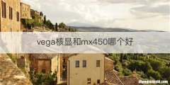 vega核显和mx450哪个好